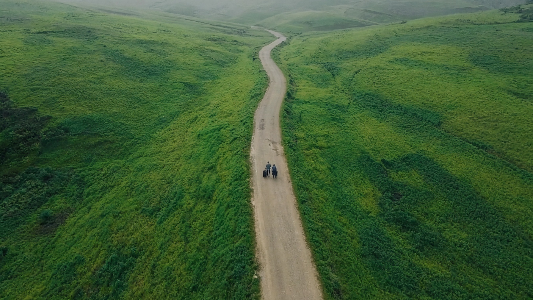 A pale path cutting through green fields